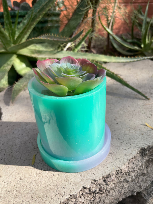 Cylinder Planter with Succulent (not real)