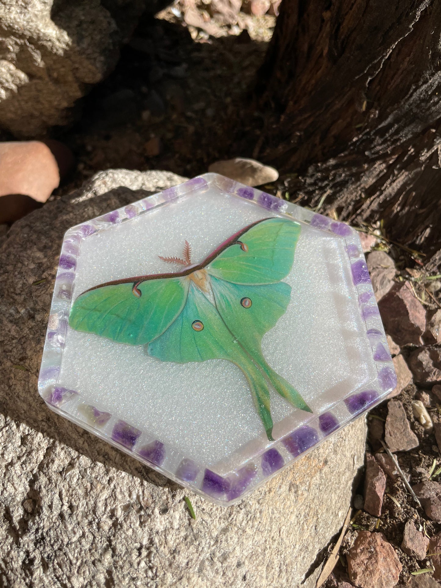 Luna Moth with Amethyst Coaster/ Trinket Tray