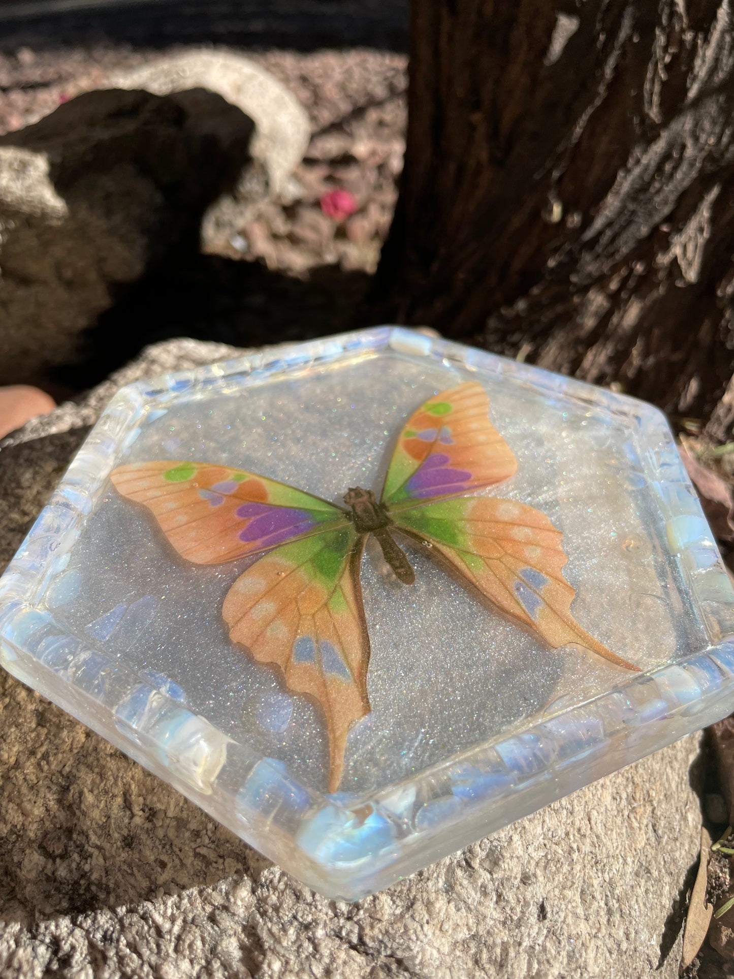 Butterfly with Opalite Coaster/ Trinket Tray