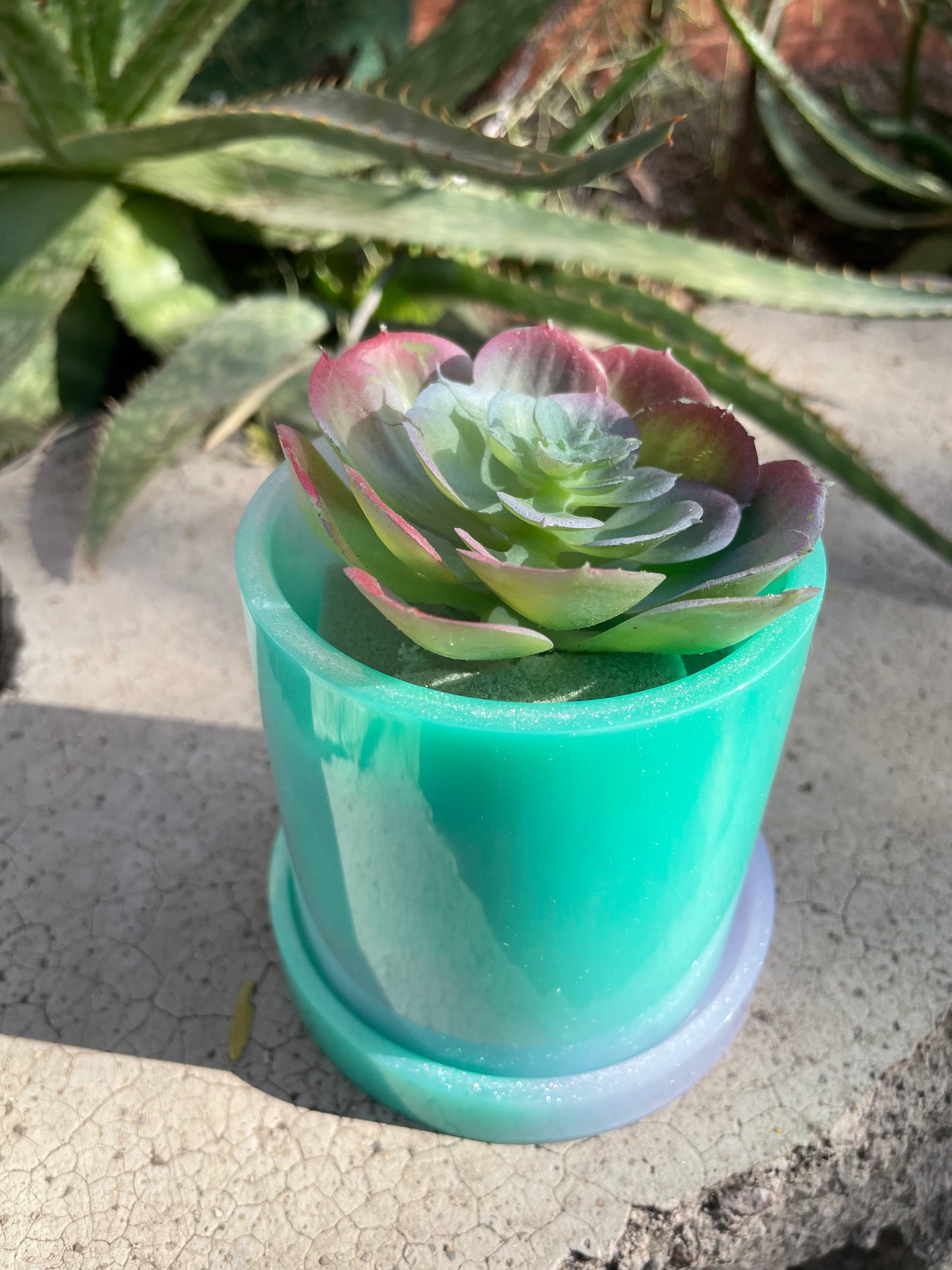 Cylinder Planter with Succulent (not real)