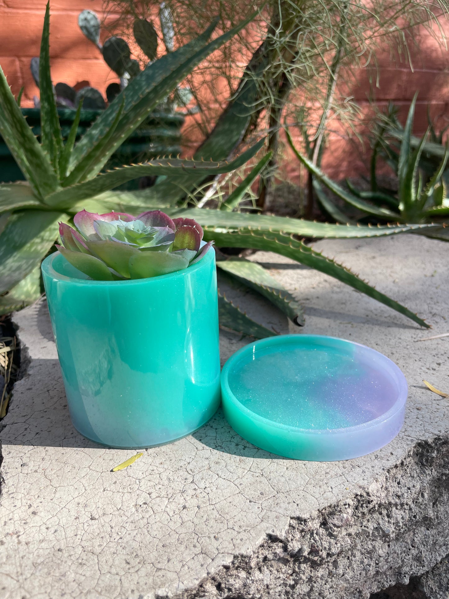 Cylinder Planter with Succulent (not real)