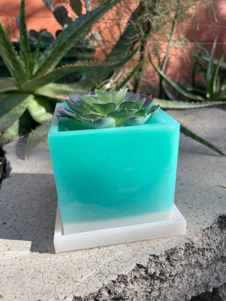 Square Planter with Succulent (not real)