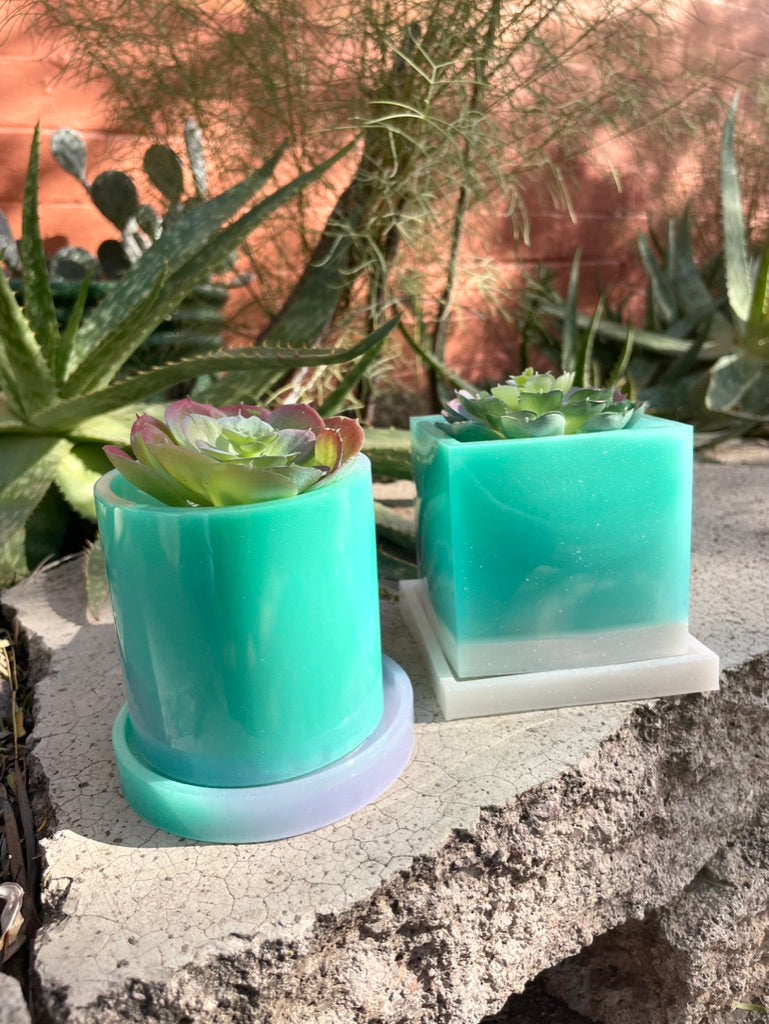 Square Planter with Succulent (not real)