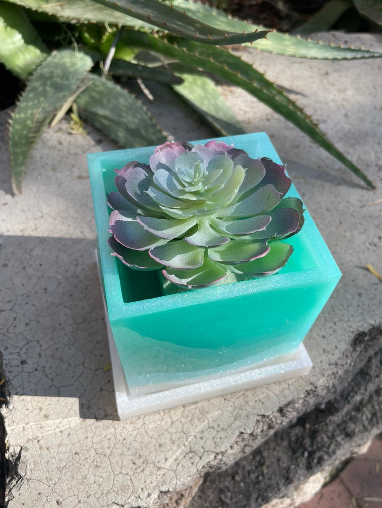 Square Planter with Succulent (not real)