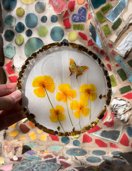 B-grade Desert Vibes Cactus Circle Tray with Gemstones